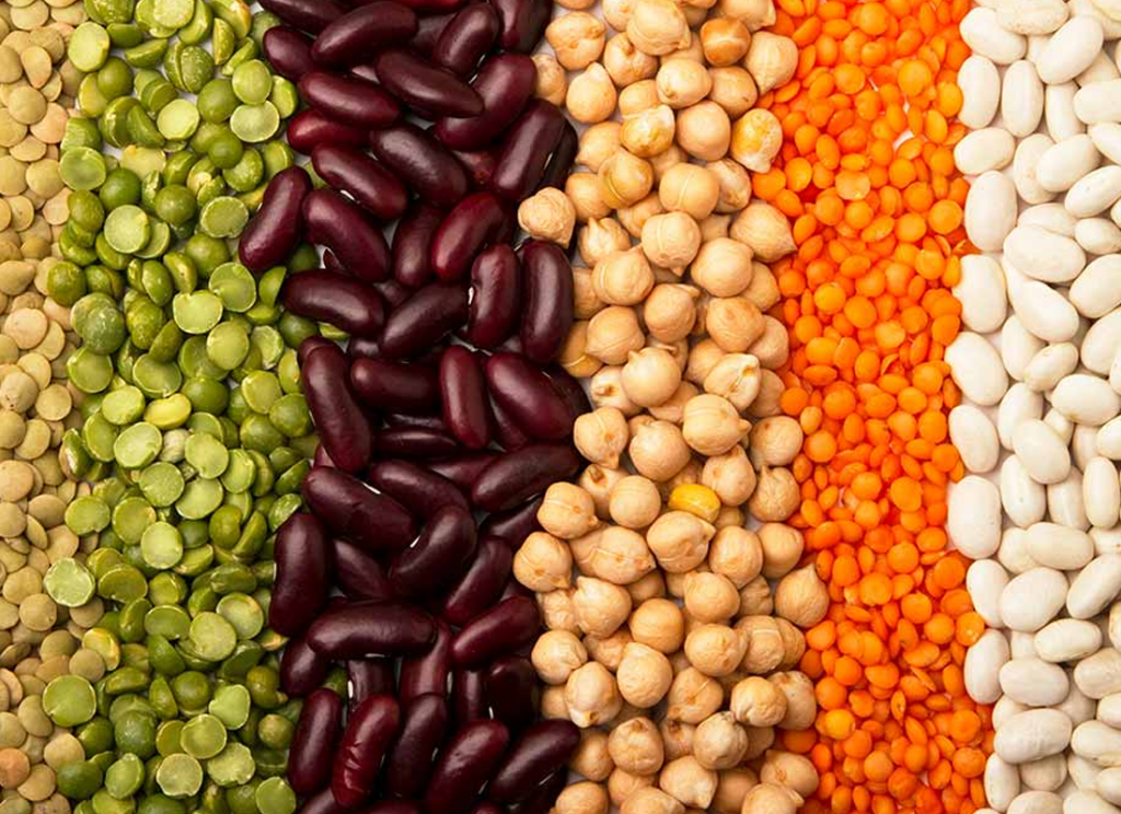 Pulses
